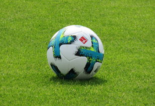 爱游戏娱乐-德甲防守战术转变对定位球防守效果的影响分析，德国足球防守大师