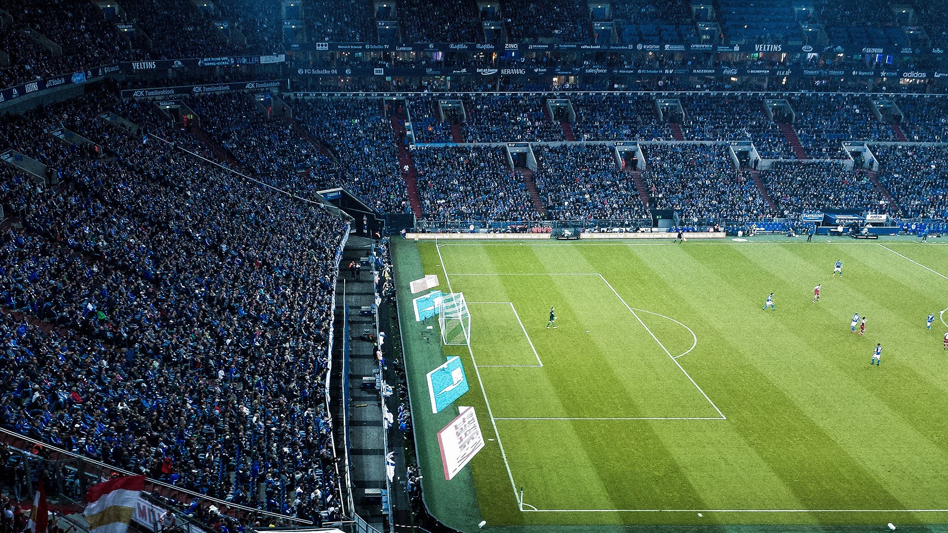 _飞盘运动嘉年华：趣味合作的极致体验_，飞盘运动比赛